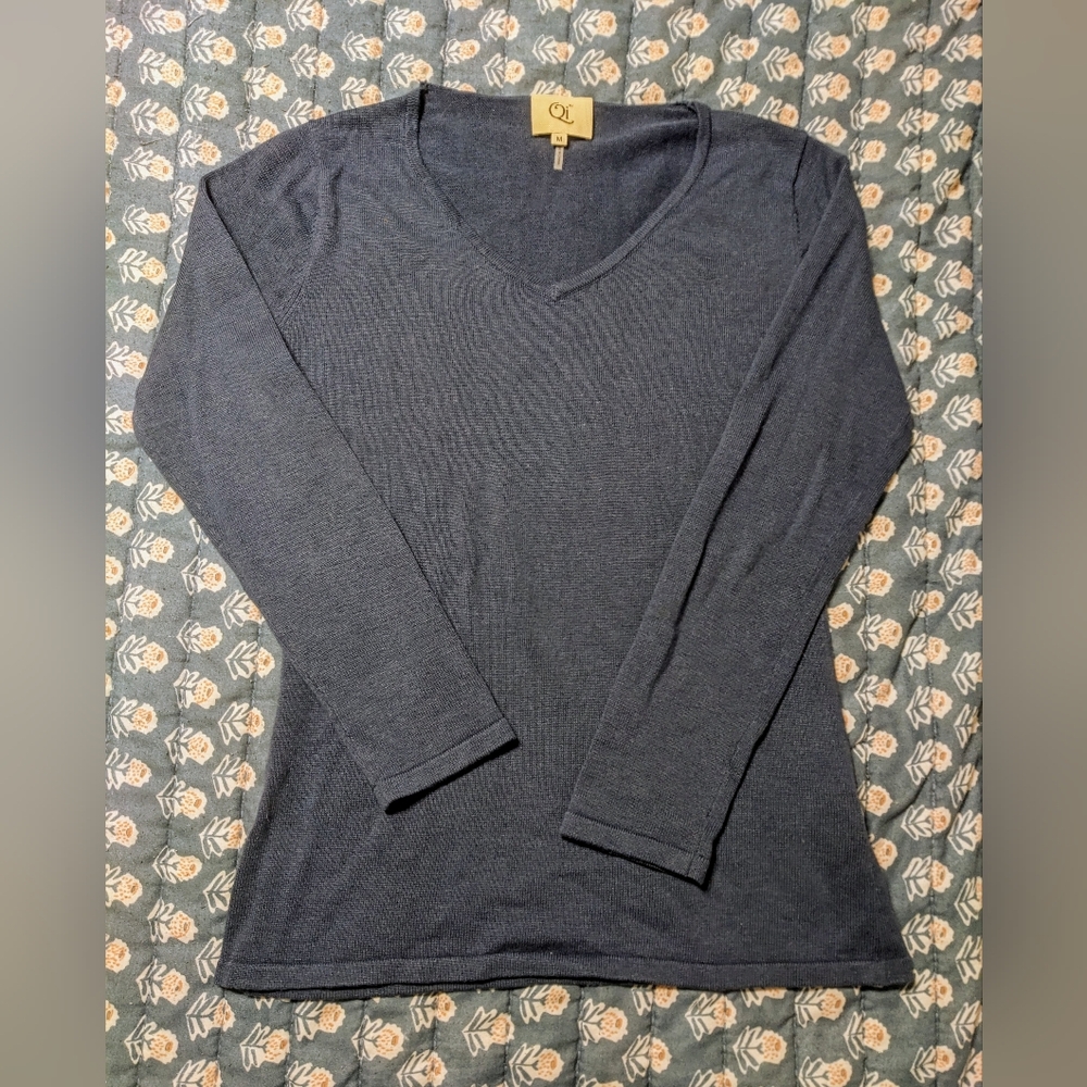 Qi Cashmere Silk Blend Thin Knit V-Neck Slate Blue Sweater Medium Collegiate